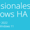 Nuevos VPS con Windows
